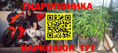 прущая мука Краснодар