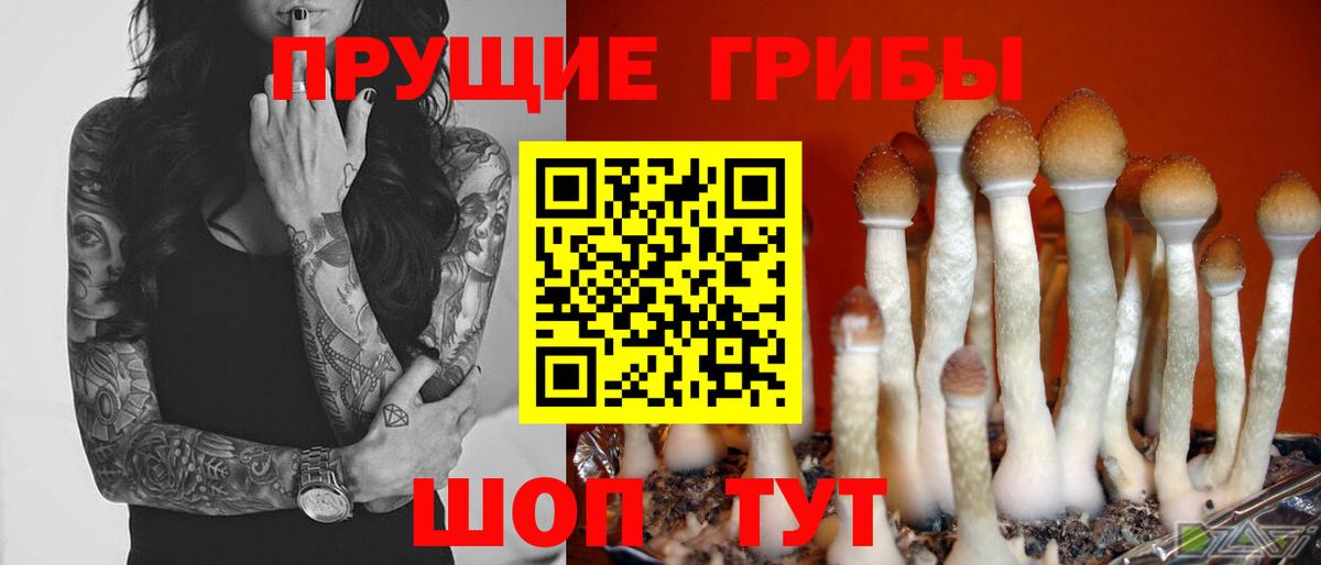 Изобильный  Галлюциногенные грибы прущие грибы  Вход с VPN 